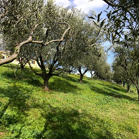 Appartement Rustic Escape With Dream Pool *