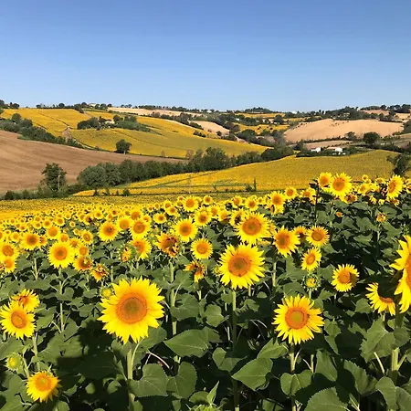 Rustic Escape With Dream Pool * Senigallia